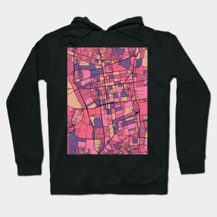 Lódz Map Pattern in Purple & Pink Hoodie